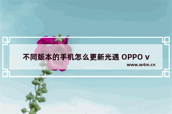 不同版本的手机怎么更新光遇 OPPO vivo手机怎么切换光遇