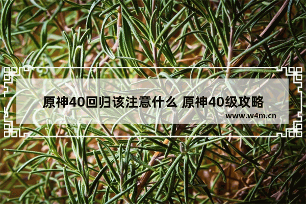 原神40回归该注意什么 原神40级攻略