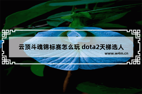 云顶斗魂锦标赛怎么玩 dota2天梯选人