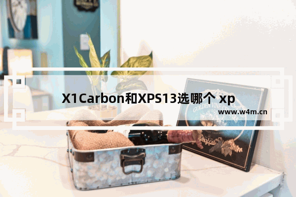 X1Carbon和XPS13选哪个 xps13玩dota2