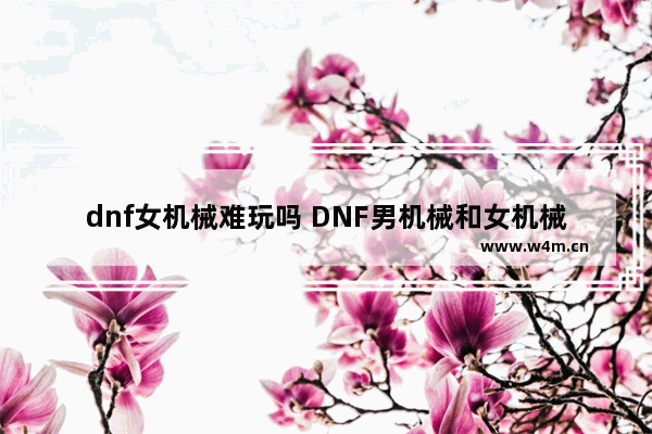 dnf女机械难玩吗 DNF男机械和女机械哪个厉害