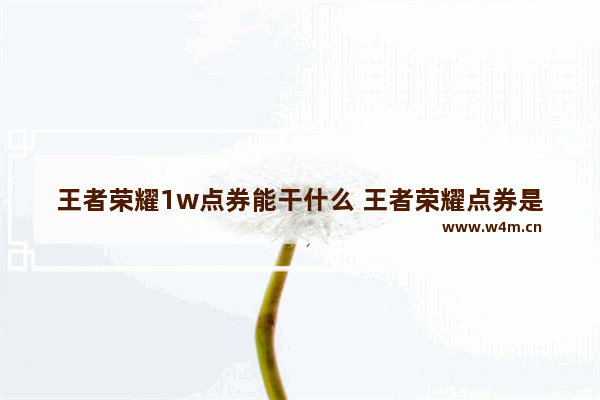 王者荣耀1w点券能干什么 王者荣耀点券是干啥用的