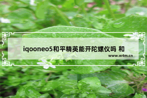 iqooneo5和平精英能开陀螺仪吗 和平精英 挑战和平速递