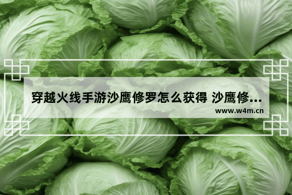 穿越火线手游沙鹰修罗怎么获得 沙鹰修罗永久获取方法 穿越火线送沙鹰修罗