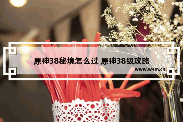 原神38秘境怎么过 原神38级攻略