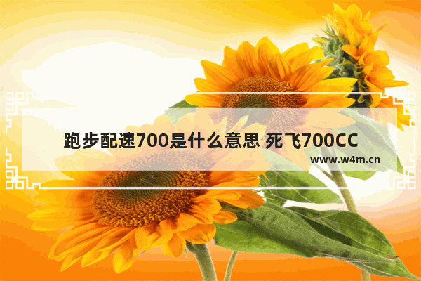 跑步配速700是什么意思 死飞700CC是什么意思