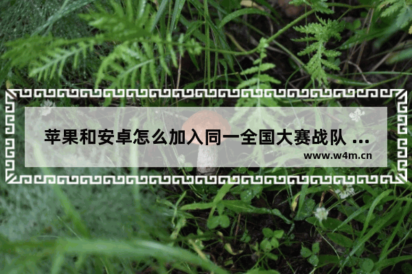 苹果和安卓怎么加入同一全国大赛战队 王者荣耀战队安卓苹果