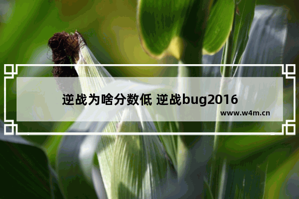 逆战为啥分数低 逆战bug2016