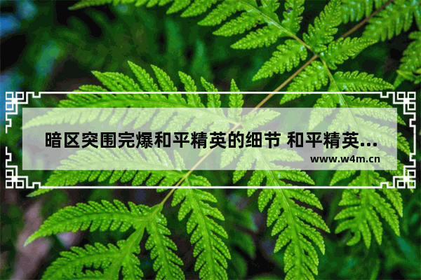 暗区突围完爆和平精英的细节 和平精英密室野餐垫加栏杆怎么过