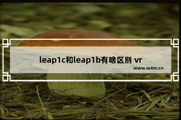 leap1c和leap1b有啥区别 vr视觉训练系统十大品牌