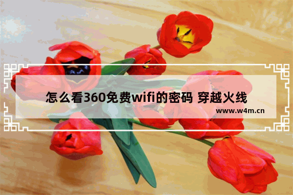 怎么看360免费wifi的密码 穿越火线免费号和密码