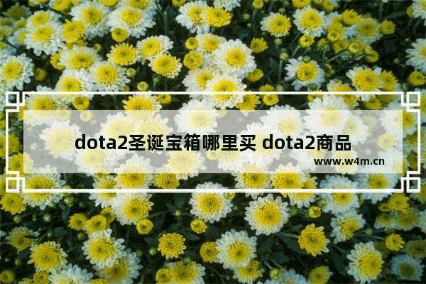 dota2圣诞宝箱哪里买 dota2商品