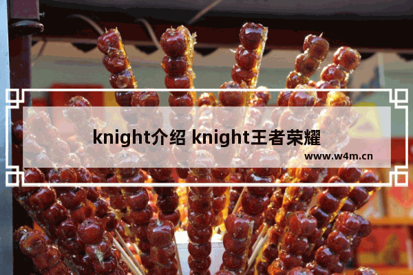 knight介绍 knight王者荣耀