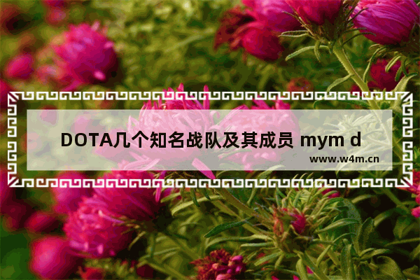 DOTA几个知名战队及其成员 mym dota2