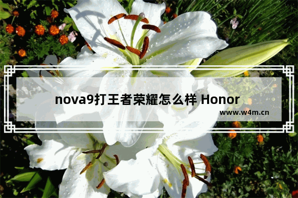 nova9打王者荣耀怎么样 Honor 9 Lite打王者怎么样