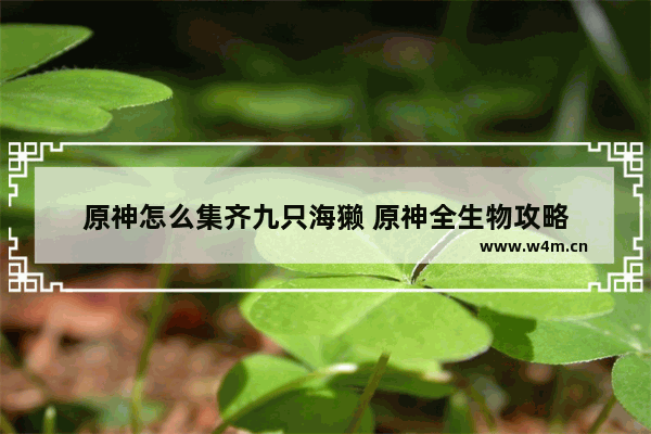 原神怎么集齐九只海獭 原神全生物攻略