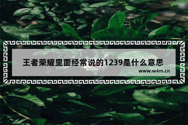 王者荣耀里面经常说的1239是什么意思 王者荣耀砍杀