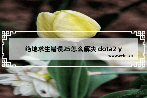 绝地求生错误25怎么解决 dota2 ye