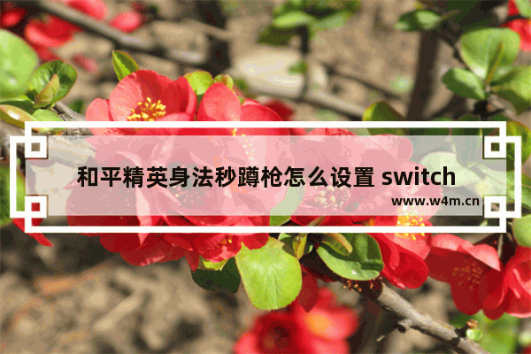 和平精英身法秒蹲枪怎么设置 switch手柄玩和平精英怎样设置