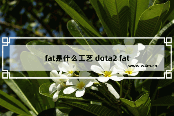 fat是什么工艺 dota2 fat