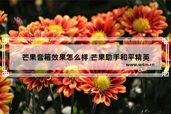 芒果音箱效果怎么样 芒果助手和平精英