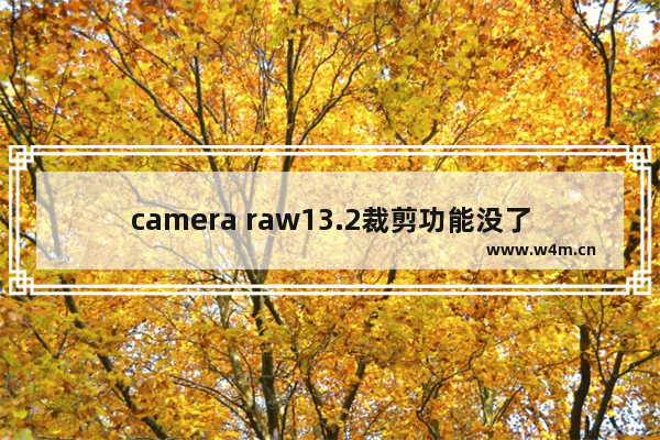 camera raw13.2裁剪功能没了 dota2 raw