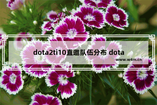 dota2ti10直邀队伍分布 dota2 empire