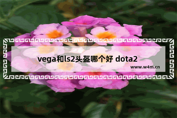 vega和ls2头盔哪个好 dota2 vega