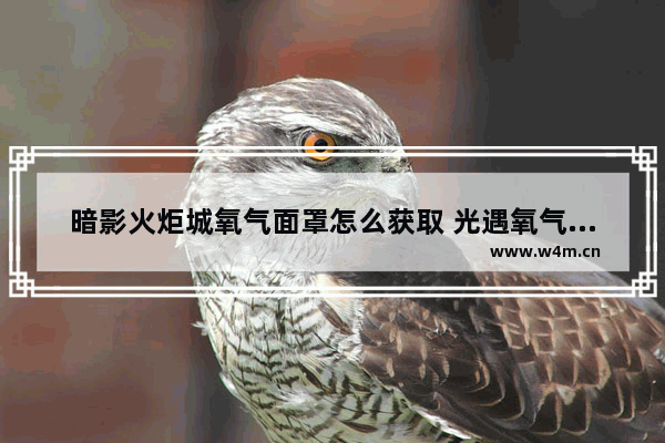 暗影火炬城氧气面罩怎么获取 光遇氧气面具搭配