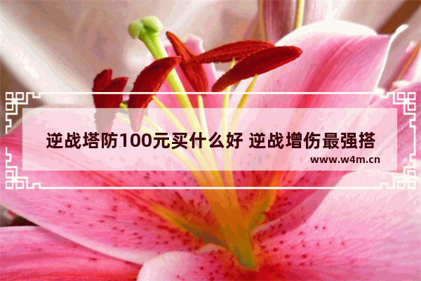 逆战塔防100元买什么好 逆战增伤最强搭配