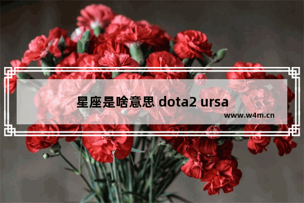 星座是啥意思 dota2 ursa