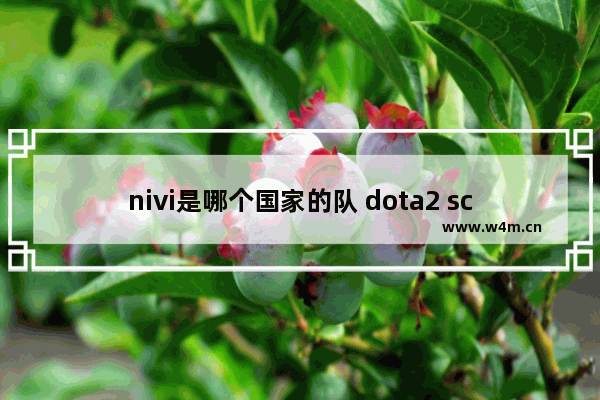 nivi是哪个国家的队 dota2 sc2