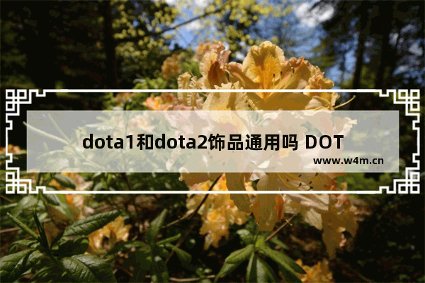 dota1和dota2饰品通用吗 DOTA2饰品如何掉落