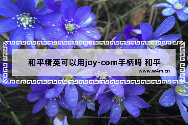 和平精英可以用joy-com手柄吗 和平精英亚工具