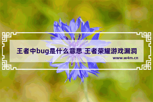 王者中bug是什么意思 王者荣耀游戏漏洞