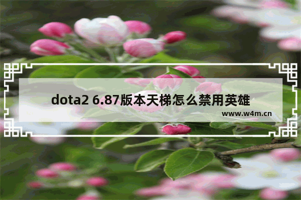 dota2 6.87版本天梯怎么禁用英雄 dota2账号禁用