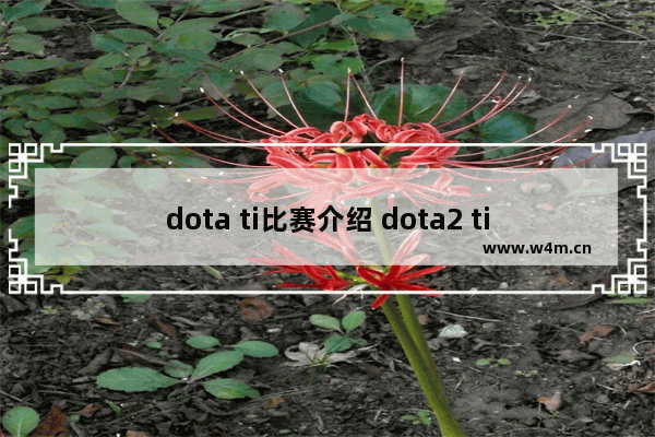 dota ti比赛介绍 dota2 ti盾