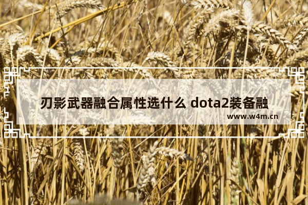 刃影武器融合属性选什么 dota2装备融合