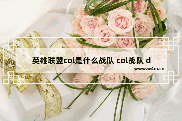 英雄联盟col是什么战队 col战队 dota2