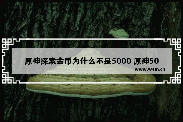 原神探索金币为什么不是5000 原神5000预算攻略