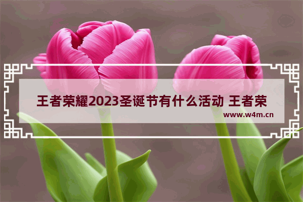 王者荣耀2023圣诞节有什么活动 王者荣耀限时福利