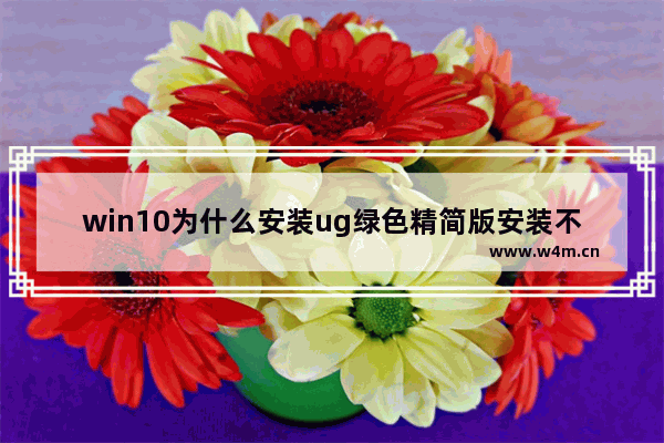 win10为什么安装ug绿色精简版安装不起 王者荣耀精简版如何下载