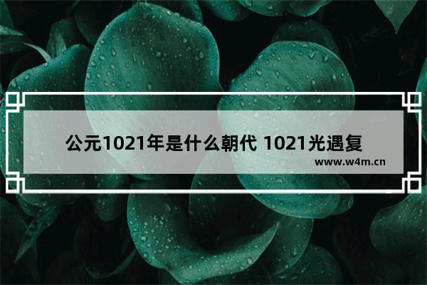 公元1021年是什么朝代 1021光遇复刻先祖