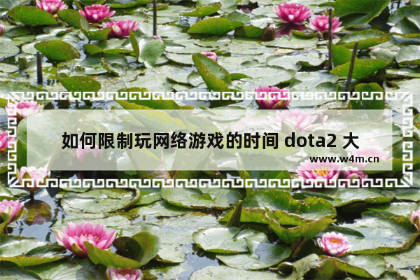 如何限制玩网络游戏的时间 dota2 大舅哥