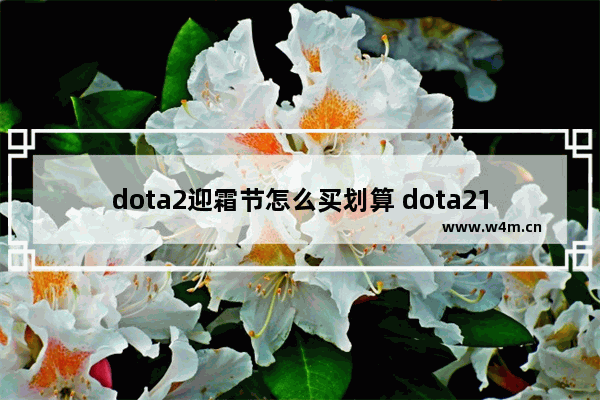 dota2迎霜节怎么买划算 dota210周年珍藏怎么领