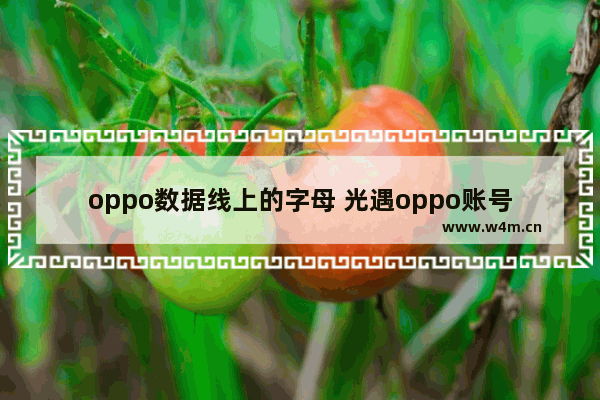 oppo数据线上的字母 光遇oppo账号土豪