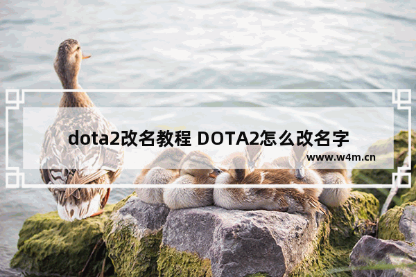 dota2改名教程 DOTA2怎么改名字啊