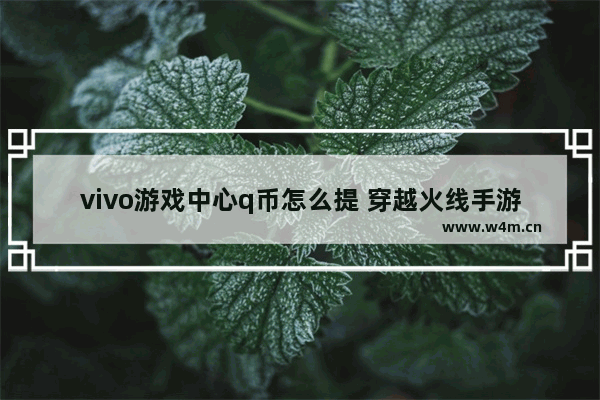 vivo游戏中心q币怎么提 穿越火线手游升级送q币活动