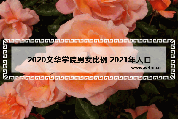 2020文华学院男女比例 2021年人口普查男女相隔多少人数