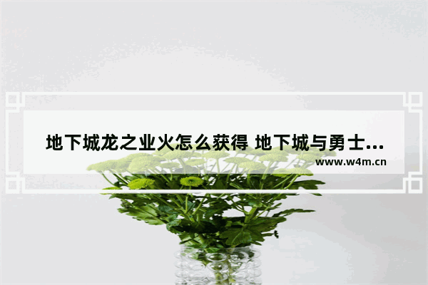 地下城龙之业火怎么获得 地下城与勇士龙人出现是第几集